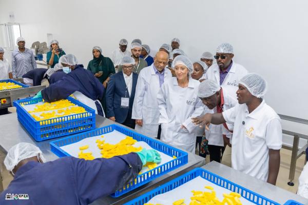 Kilifi County Leads in EPZ Programme as KSh250 Million Fruit Processing Plant Opens New Markets for Farmers