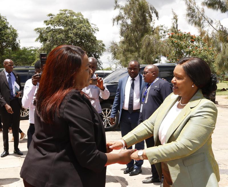 Kenya Leather Park and the Konza Technopolis flagship projects