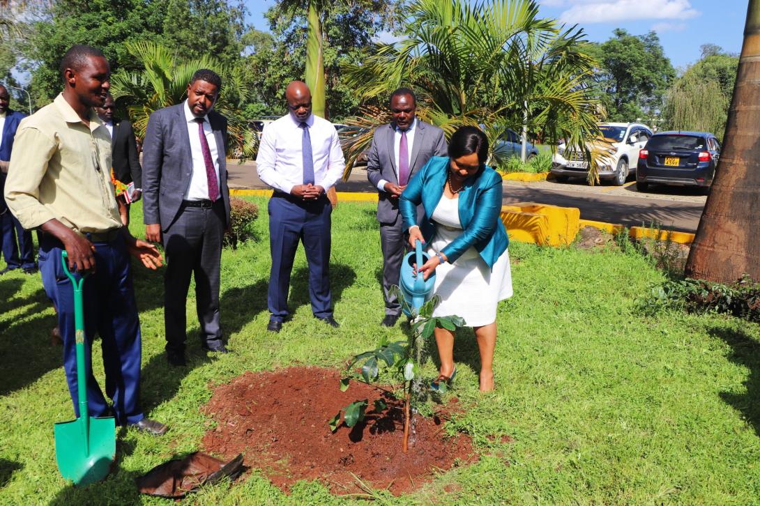 Stepping towards GoK's initiative to plant 15 billion trees by 2032