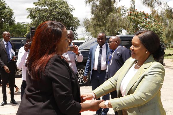 Kenya Leather Park and the Konza Technopolis flagship projects