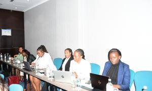 State Department for Investment Promotion (SDIP) BEEEP Project Hosts Private Sector Workshop on Business Environment Reforms