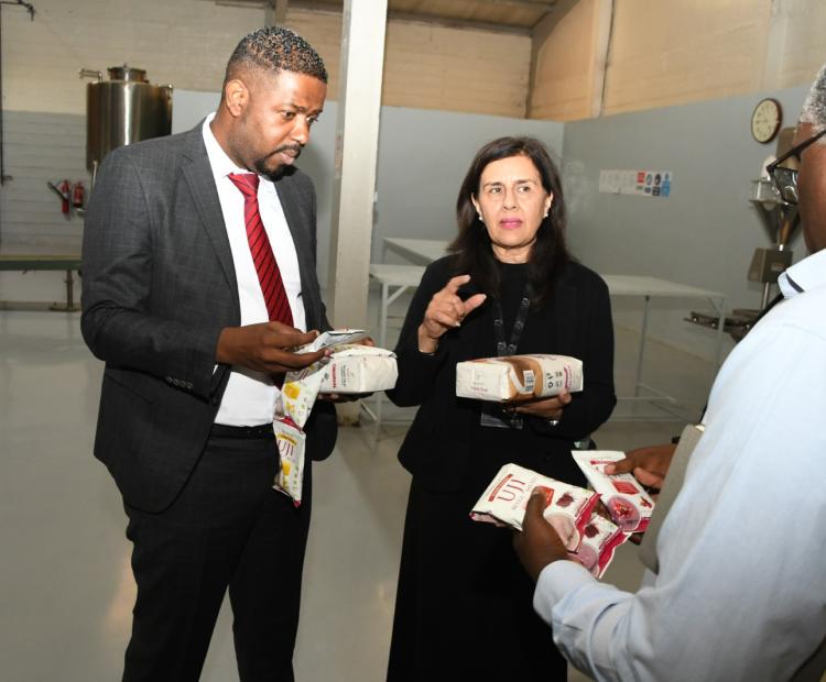 ​​​​​​​Government Eyes Publishing Sector Reforms to Boost Investment and Local Industry