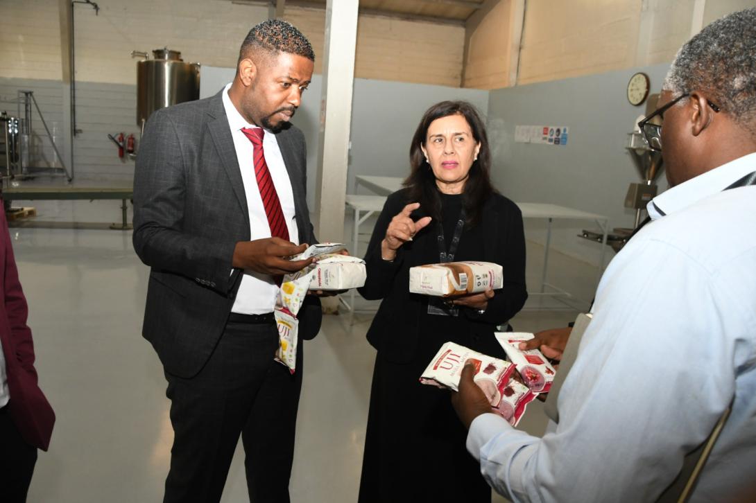 ​​​​​​​Government Eyes Publishing Sector Reforms to Boost Investment and Local Industry