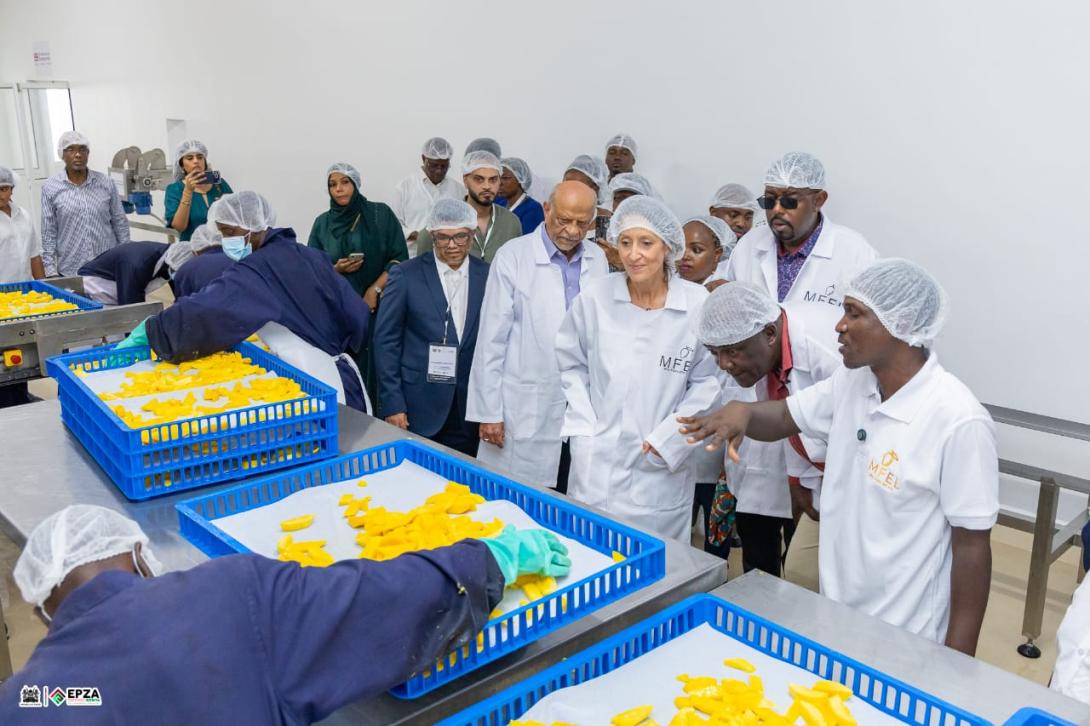 Kilifi County Leads in EPZ Programme as KSh250 Million Fruit Processing Plant Opens New Markets for Farmers